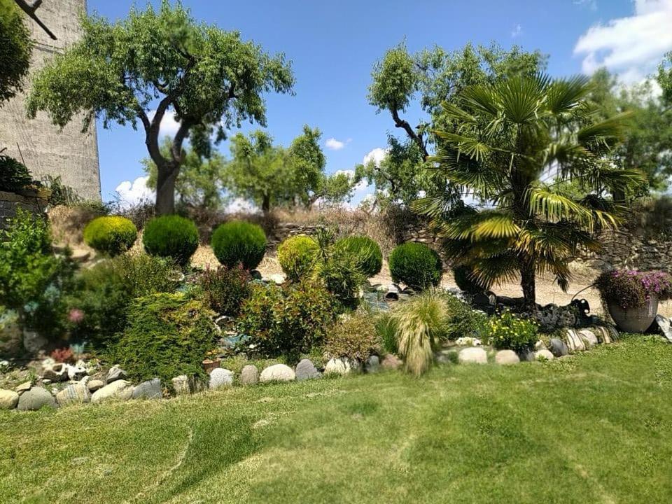 בית הארחה גראוס 	Casa Dominica מראה חיצוני תמונה