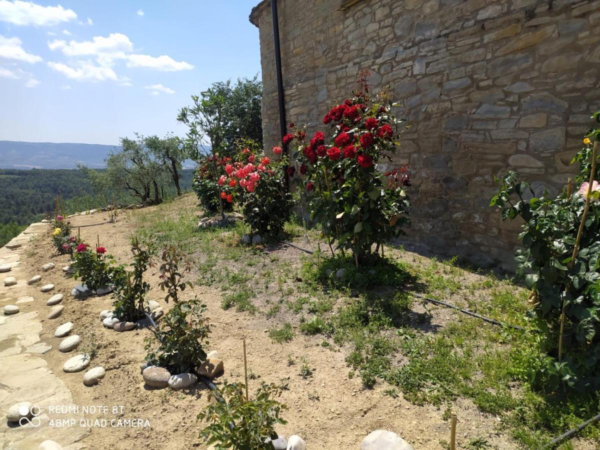 בית הארחה גראוס 	Casa Dominica מראה חיצוני תמונה